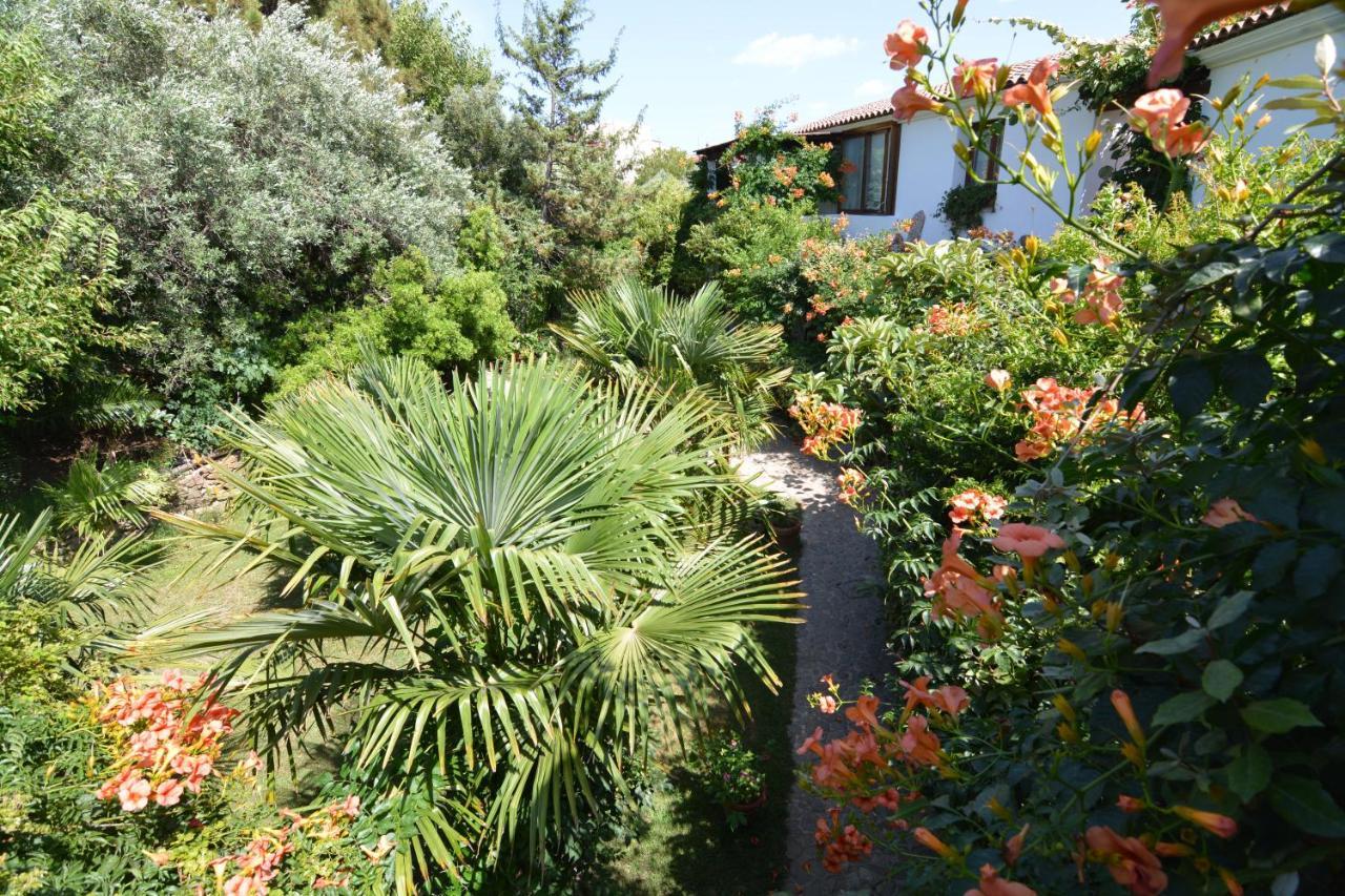 Residence L'Ulivo Budoni Εξωτερικό φωτογραφία