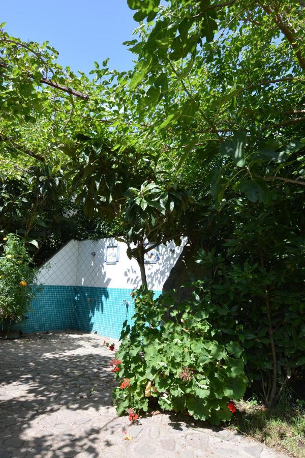 Residence L'Ulivo Budoni Εξωτερικό φωτογραφία
