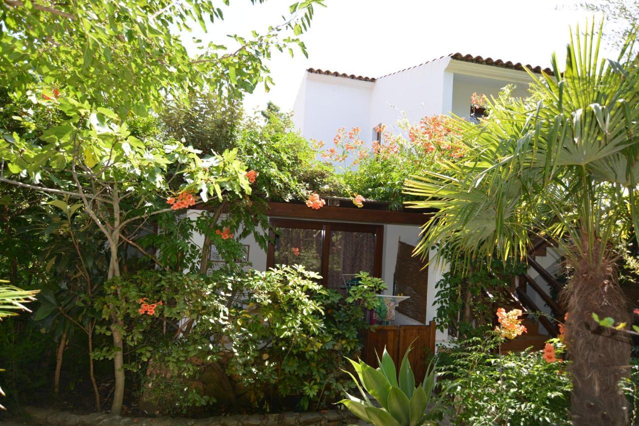 Residence L'Ulivo Budoni Εξωτερικό φωτογραφία